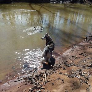 Meet your Posher, Misty